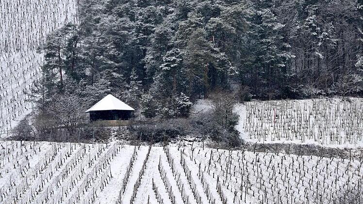 Im Weinberg soll ein Aussichtspunkt entstehen. Foto: Andreas Lomb