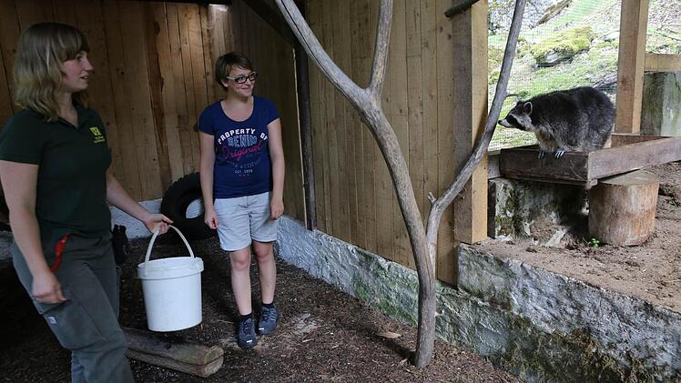 Bei den Waschbären: Sommerreporterin Sabrina Friedrich und Tierpflegerin Sandra Weber, links Foto: Barbara Herbst
