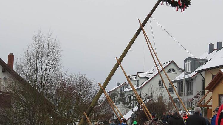 Ein Tross aus mehreren Traktoren brachte die "Bürgermeister"-Bäume an Ort und Stelle. Foto: Doris Bauer