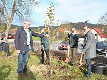 Heiligenstadts Bürgermeister Helmut Krämer (von links), der katholische Pfarrer Christian Kaiser, der evangelische Pfarrer Thomas Bruhnke und der Pastor der evangelisch-freikirchlichen Gemeinde Dirk Zimmer setzen den Apfelbaum in die Erde. Foto: Carmen Schwind