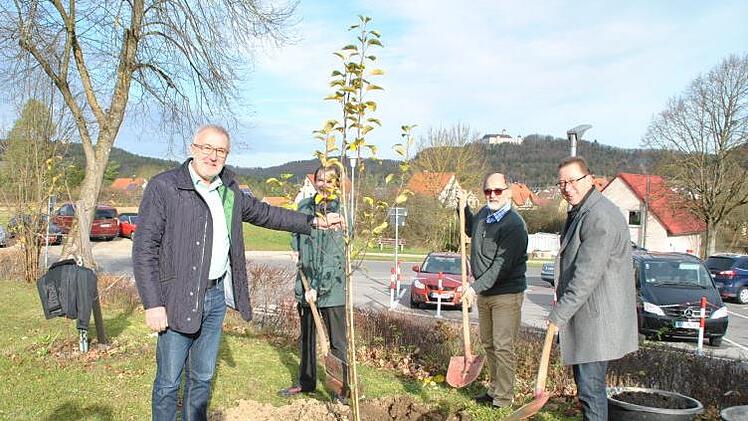 Heiligenstadts Bürgermeister Helmut Krämer (von links), der katholische Pfarrer Christian Kaiser, der evangelische Pfarrer Thomas Bruhnke und der Pastor der evangelisch-freikirchlichen Gemeinde Dirk Zimmer setzen den Apfelbaum in die Erde. Foto: Carmen Schwind