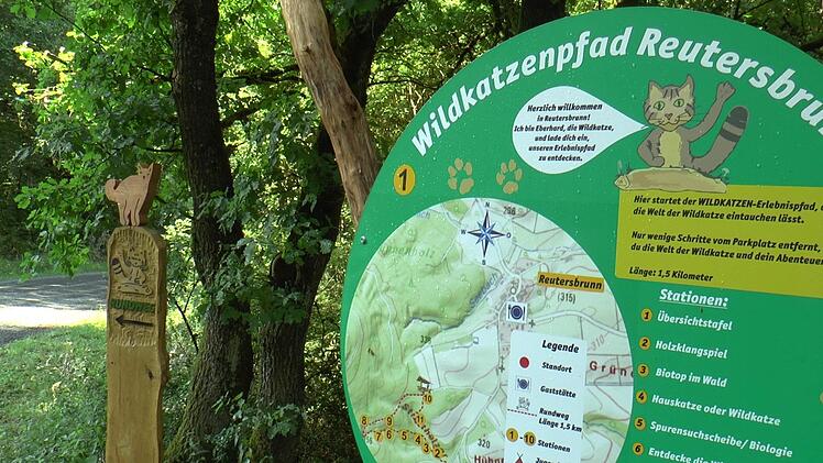 Der Wildkatzenpfad in Reutersbrunn wird voraussichtlich im Herbst er&ouml;ffnet.Christian Licha