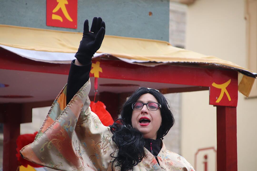 Landkreis Faschingszug