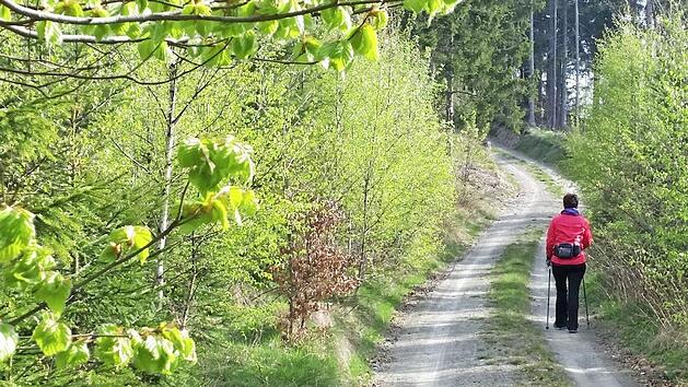 Der Wallenfelser H&ouml;henweg f&uuml;hrt die Wanderer nach Schindelthal. Foto: privat