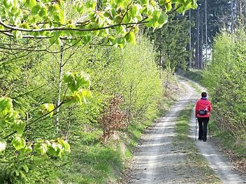 Der Wallenfelser Höhenweg führt die Wanderer nach Schindelthal. Foto: privat