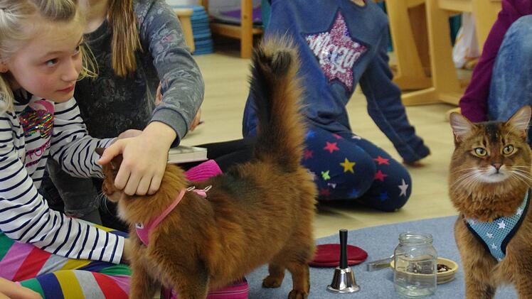 Die Kinder sind begeistert, wenn Yurika und Zorro zu Besuch sind.  Fotos: Marco Meißner