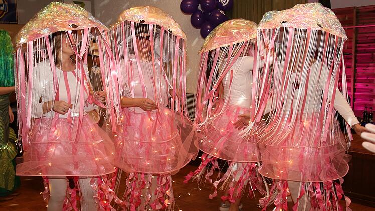 Weiberfasching des TV 48 Coburg in Creidlitz Foto: Michael Stelzner