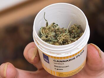 Cannabis als Medikament ist stark nachgefragt. Symbolbild: Swen Pförtner/dpa