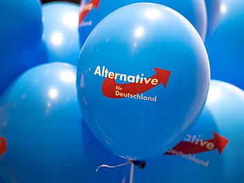 AfD Rheinland-Pfalz