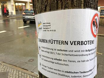 An zahlreichen Stellen im Coburger Stadtgebiet wurden neue Hinweiszettel aufgehängt. Foto: Oliver Schmidt