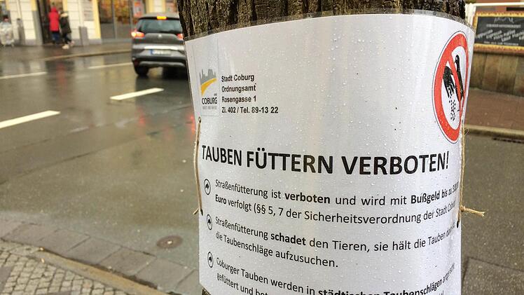 An zahlreichen Stellen im Coburger Stadtgebiet wurden neue Hinweiszettel aufgehängt. Foto: Oliver Schmidt