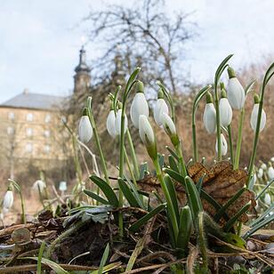 Ortsportrait Kloster Banz; Foto: Barbara Herbst