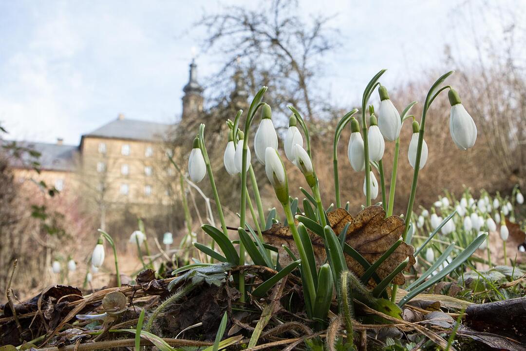 Ortsportrait Kloster Banz; Foto: Barbara Herbst