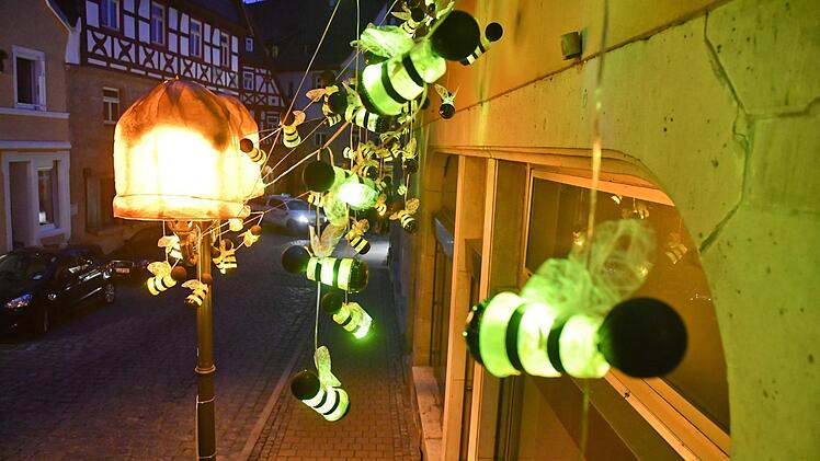 Impressionen von der "Kronach leuchtet"-Generalprobe. Foto: Ronald Rinklef