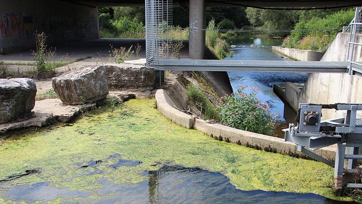 Am sogenannten Ochsenklavier (in der Nähe des Augrabens) wird aus Wasserkraft Strom gewonnen. Künftig soll das Wiesent-System rund um das Ochsenklavier auch als Wasserspielplatz genutzt werden.  Foto: Ekkehard Roepert