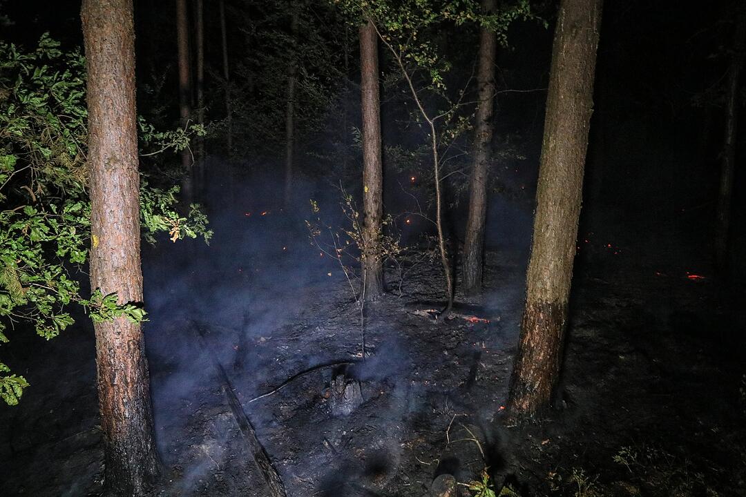 Munition detoniert bei nächtlichem Waldbrand