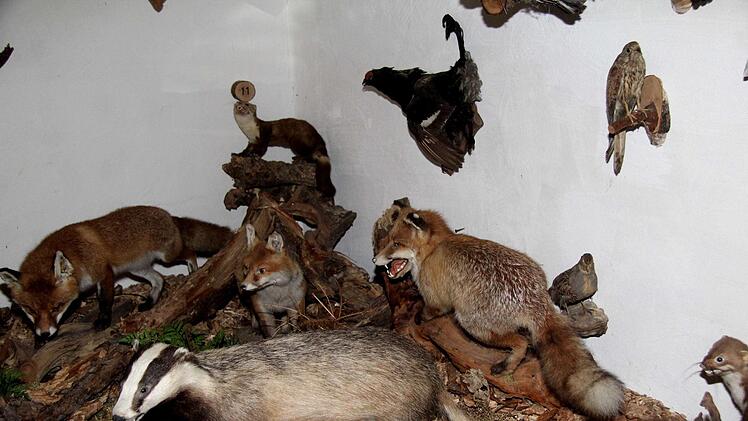 Impressionen von der Museumskerwa   Foto: Richard Sänger