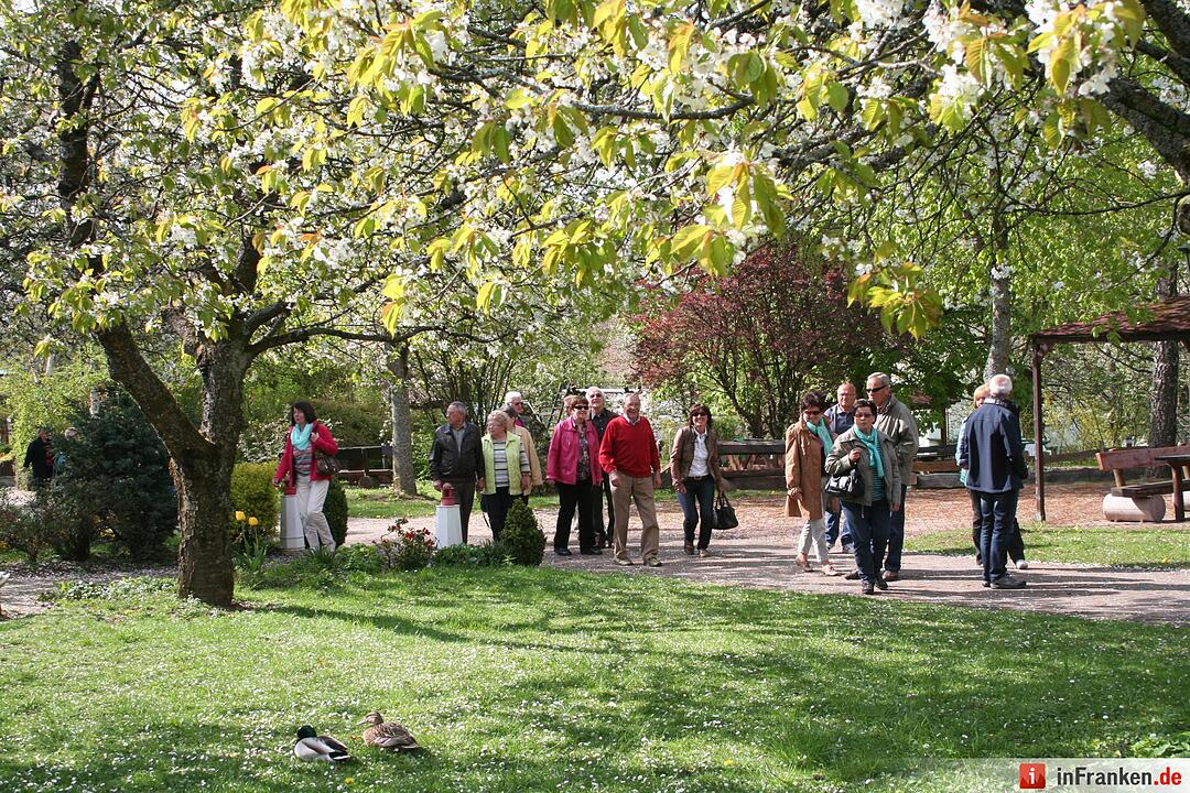 ABO Plus Kirschblütenfahrt 29.04.2015