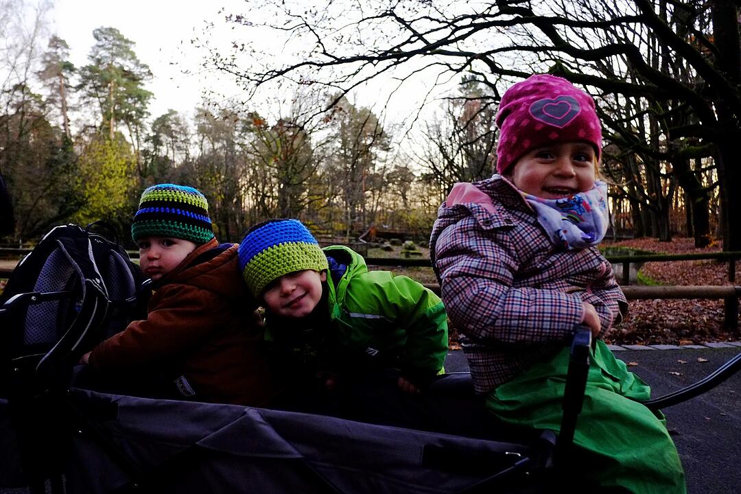 Tiergarten Nürnberg im Winter