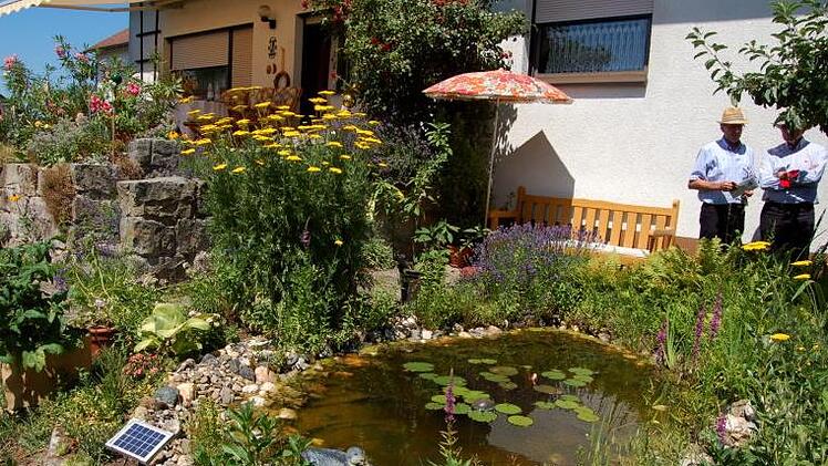 Gartenteich neben der Terrasse - einer der zahlreichen Hingucker bei den offenen Gärten in Oberhaid  Alle Fotos: Andrea Splörlein