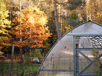 Gewächshaus, Gartenhaus, Herbst, Garten, Gartenhütte