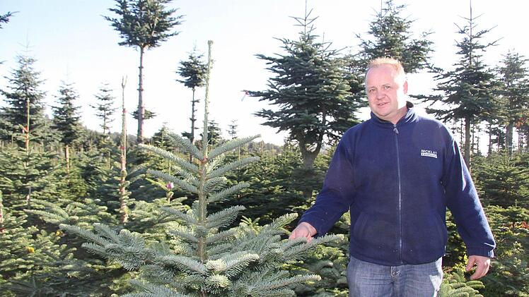 Uwe Witzgall freut sich über die vielen bunten Schildchen. Denn alle Bäume, die so merkiert sind, haben bereits einen Käufer gefunden. Fotos: Sonja Adam