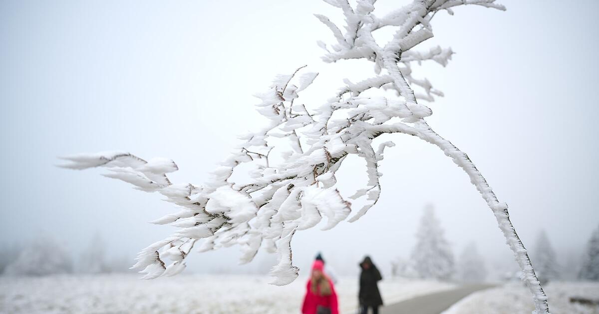 K-ltestes-Weihnachten-seit-15-Jahren-m-glich-kaum-Schnee