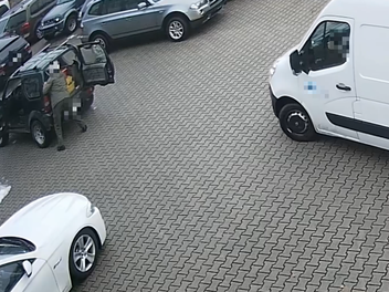 Video aus Landkreis Bamberg schockiert Tiersch&uuml;tzer: Mann pr&uuml;gelt Hund