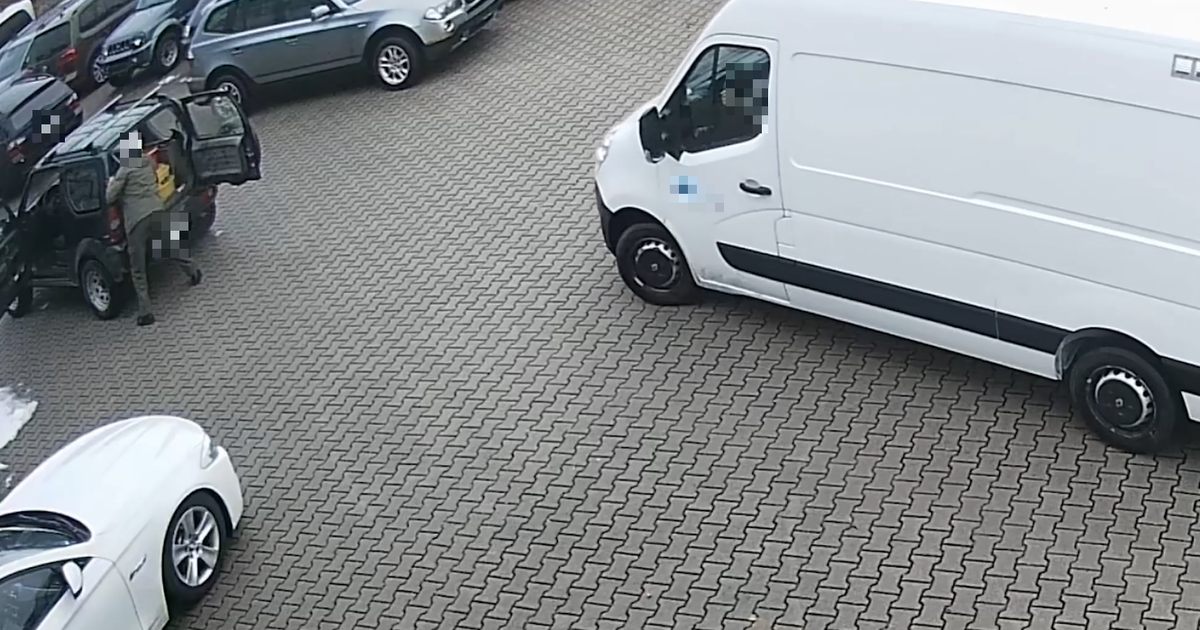 Video from Bamberg district: Dog abused in parking lot - | Police update