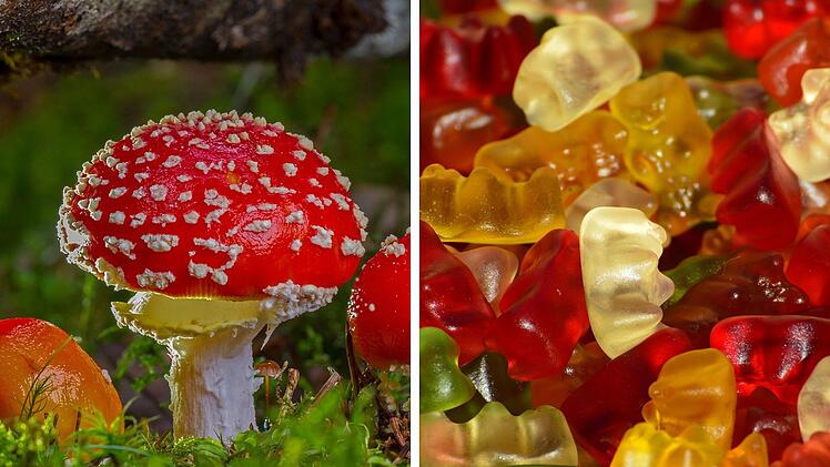 Gummibärchen mit Fliegenpilzgift - Verkaufsautomat befördert Mann ins Krankenhaus