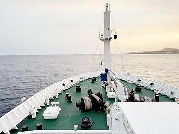 Drei Tote nach Hantavirus-Ausbruch auf Kreuzfahrtschiff