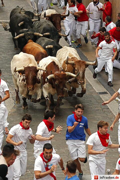 Stierhatz in Pamplona