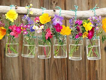 sommerblumendeco