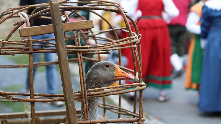 Gänse dürfen nicht fehlen. Thomas Malz