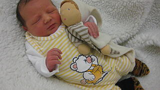 Babygalerie 335 Babygalerie 335