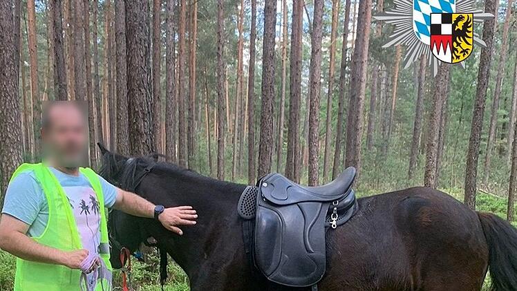 Pferd auf der A9