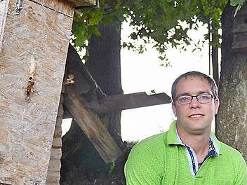 In diesem Kasten am Baum lebt ein Hornissenschwarm. Diesen hat Sebastian Metz im Frühjahr samt Nest in seinen Garten umgesiedelt. Es ist nicht bei dem einen geblieben. Foto: Kathrin Kupka-Hahn