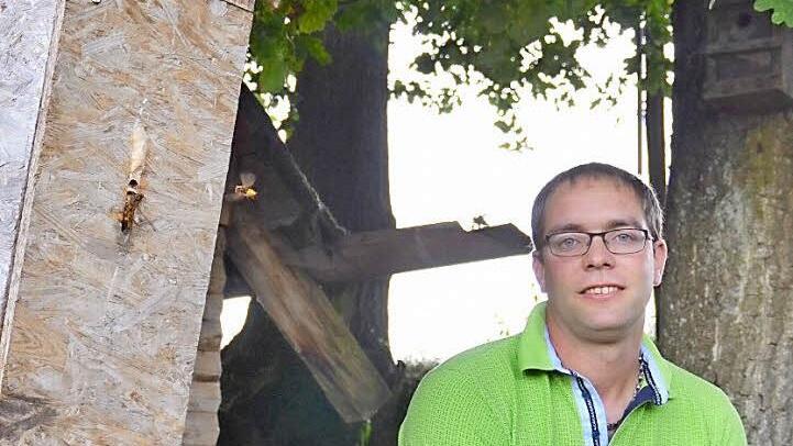 In diesem Kasten am Baum lebt ein Hornissenschwarm. Diesen hat Sebastian Metz im Frühjahr samt Nest in seinen Garten umgesiedelt. Es ist nicht bei dem einen geblieben. Foto: Kathrin Kupka-Hahn