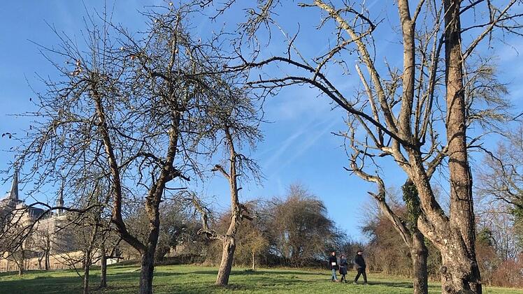 Ein offenbar kontrollbedürftiges Idyll: Ein sonniger Dezembertag lädt zum Spaziergang durch den Michelsberger Terrassengarten ein. Foto: Michael Wehner