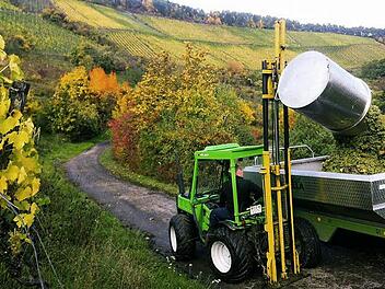 Am Gommersberg kippt ein Traktor Müller-Thurgau-Trauben auf einen Anhänger. Foto: privat