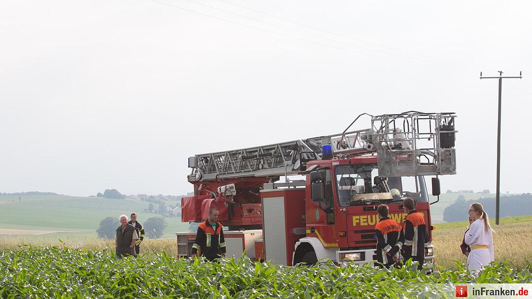 Katze Molli löst Feuerwehreinsatz aus