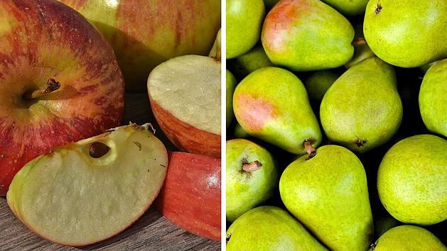 &Auml;pfel Birnen Vergleich Gesundheit N&auml;hrwerte Kalorienarm Vitamine VitaminC Ballaststoffe Pektin Kalium Antioxidantien Polyphenole Herzgesundheit Darmgesundheit Verdauung Immunsystem Frische Saison Regional Snack Dessert Fr&uuml;hst&uuml;ck Tisch geschnitten ganz halbiert geviertelt Draufsicht Obst