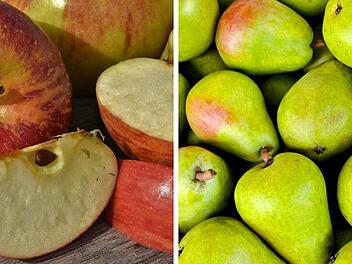&Auml;pfel Birnen Vergleich Gesundheit N&auml;hrwerte Kalorienarm Vitamine VitaminC Ballaststoffe Pektin Kalium Antioxidantien Polyphenole Herzgesundheit Darmgesundheit Verdauung Immunsystem Frische Saison Regional Snack Dessert Fr&uuml;hst&uuml;ck Tisch geschnitten ganz halbiert geviertelt Draufsicht Obst