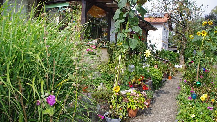 Im Garten von Helga Fleischmann gibt es immer etwas zu tun.