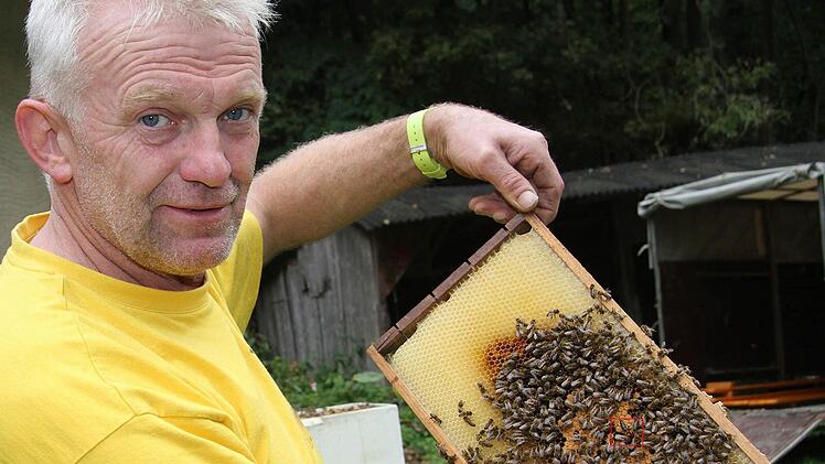 Lehrbienenwart Heinrich Witzgall vom Imkerverein Stadtsteinach hatte ein Bienenvolk dabei.