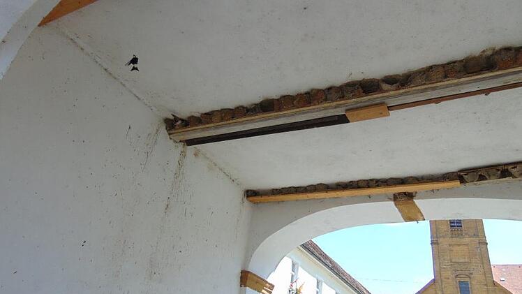 Unzählige Schwalben haben sich im Torbogen zum Eingang in  den Hof der Brauerei und Klosterkirche Weißeohe  eingenistet. Foto:  Petra Malbrich