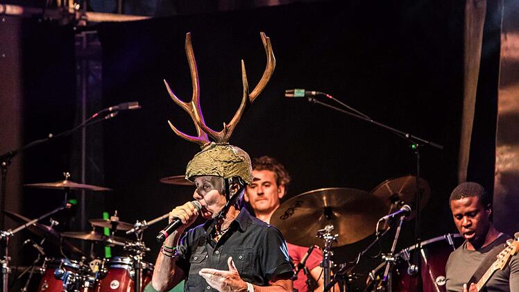 Impressionen vom Tambacher Sommer: Rund 1500 begeisterte Fans im ausverkauften Tambacher Schloss erlebten den Auftritt der Ersten Allgemeinen Verunsicherung. Foto: Jochen Berger