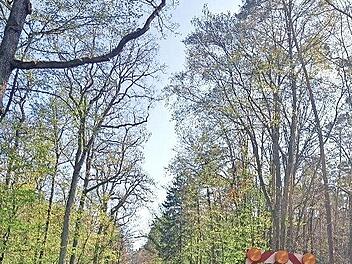 Immer wieder kommt es zu Absperrungen am Serlbacher Berg.