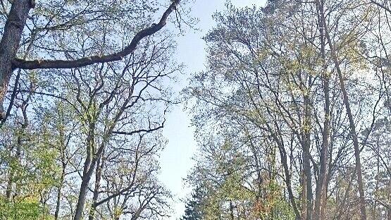 Immer wieder kommt es zu Absperrungen am Serlbacher Berg.