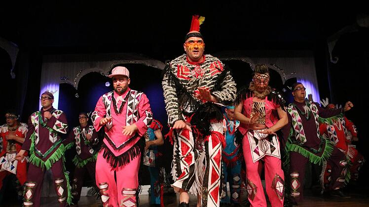 Prunksitzung 2019 in Stadtsteinach. Foto: Jürgen Gärtner